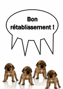 Chiens mignons pour un prompt rétablissement